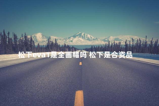 松下eva1是全画幅吗 松下是合资品牌吗